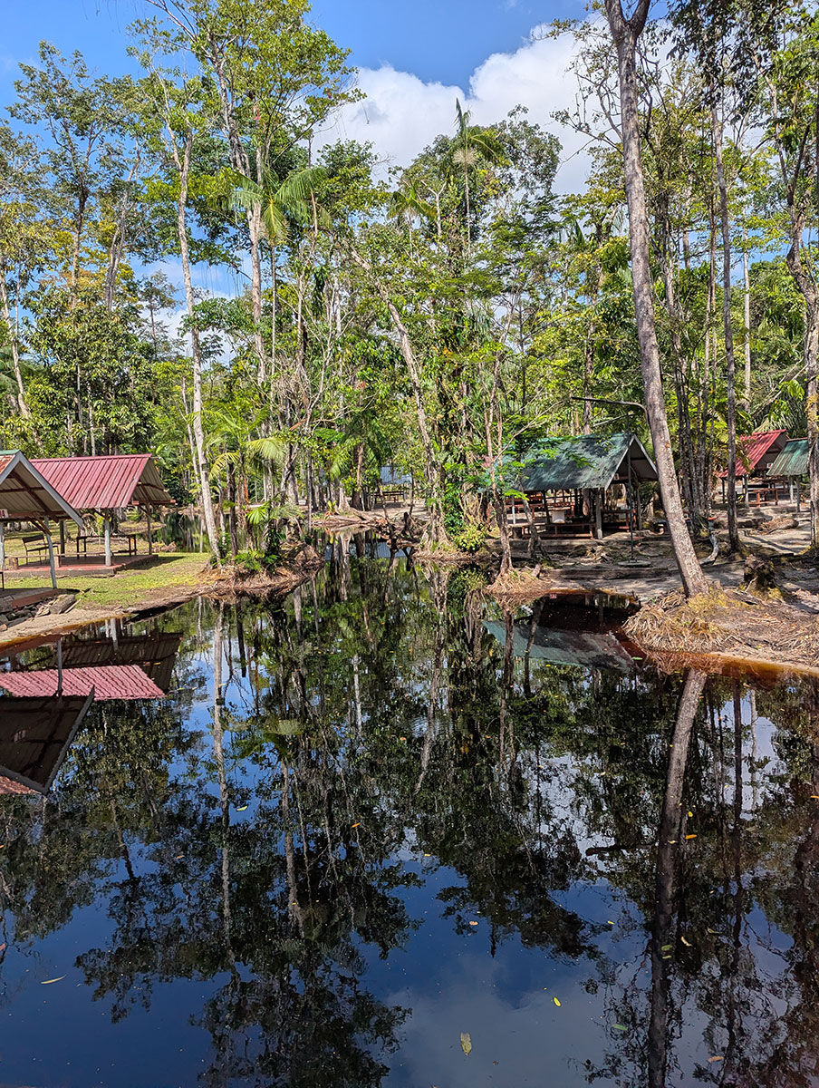 Tropical Medicine Elective Rotation in Suriname