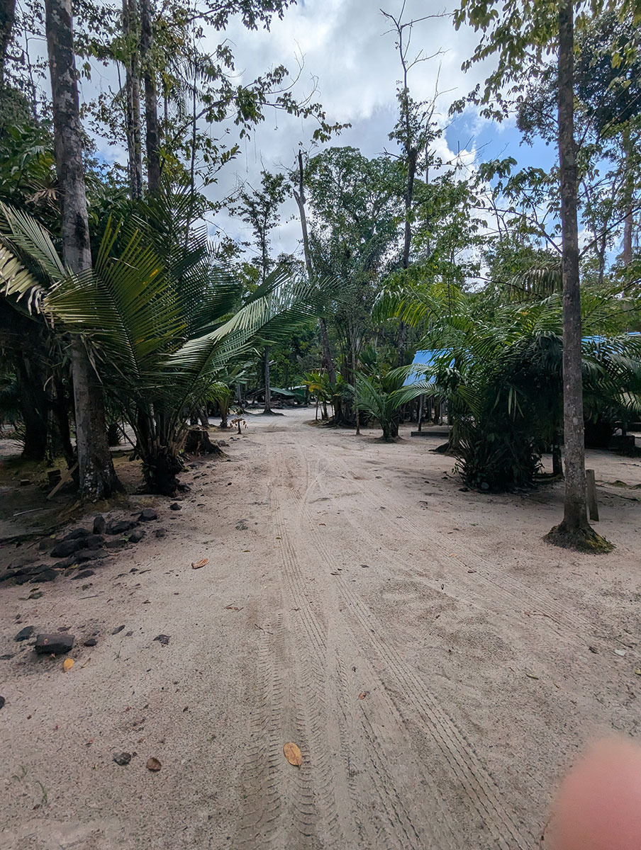 Tropical Medicine Elective Rotation in Suriname