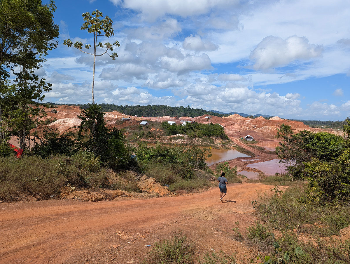 Tropical Medicine Elective Rotation in Suriname